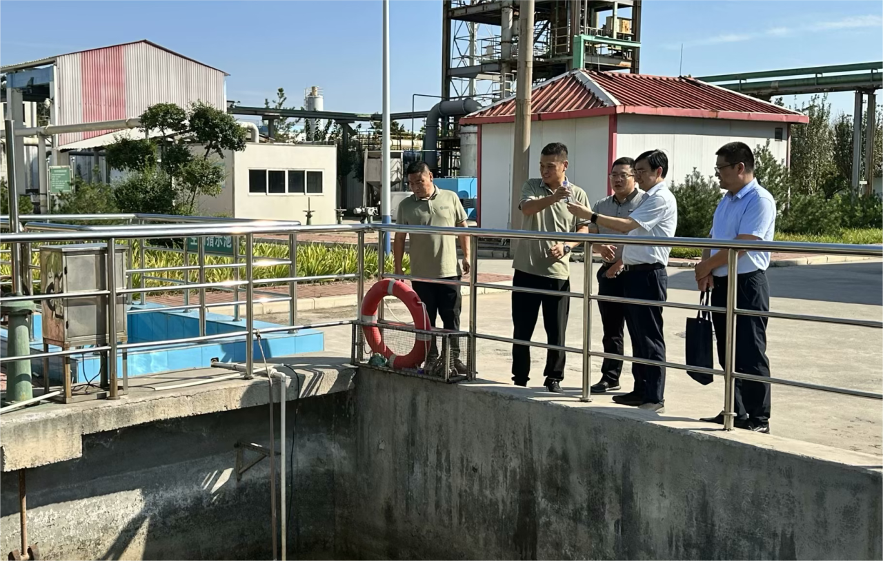 1697286089268.png 0f0796f00b9855c9b77227bc257624a2.png